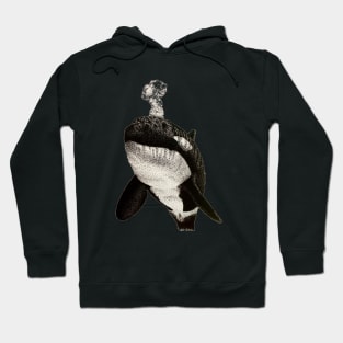 Orca Hoodie